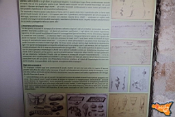 Santa Ninfa 19 11 2016 185.jpg